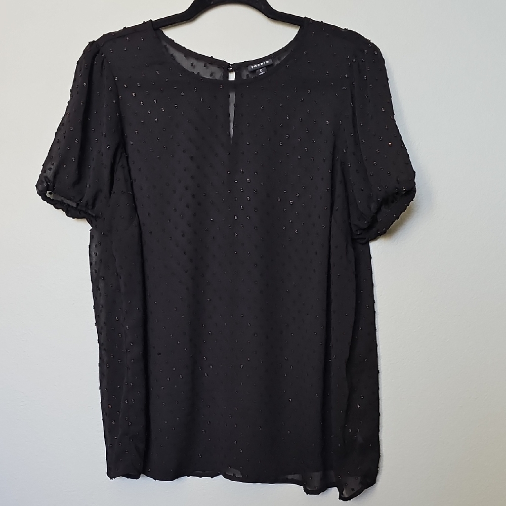 Torrid Witchy Flirty Abbey Rainbow Clip Dot Sheer Short Sleeve Blouse Top 0X - Picture 2 of 12